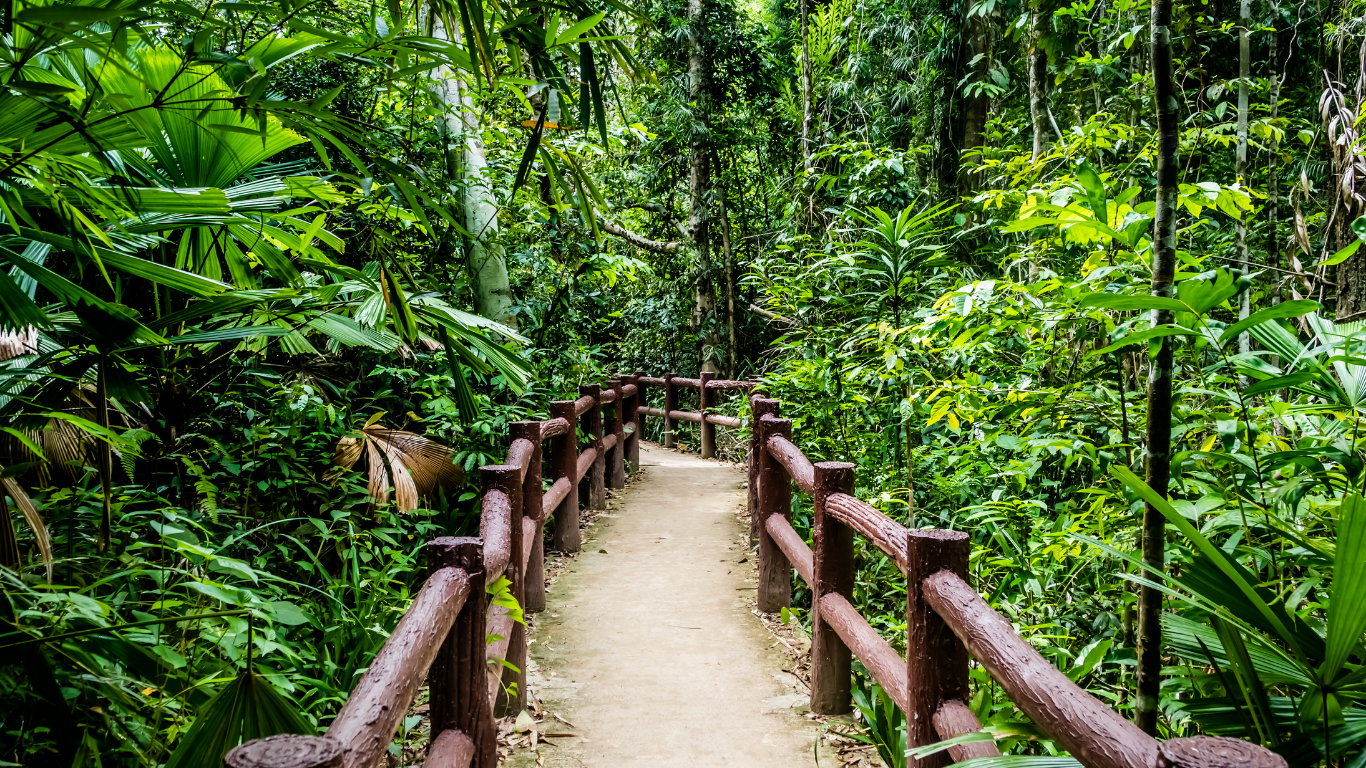 Espiritualidade e Autoconhecimento: A Base da Longevidade com Propósito